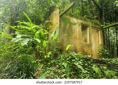 Abandoned House The Middle Of The Woods With Plants Surrounded