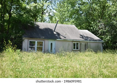 Abandoned House In An Overgrown Yard