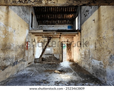 Similar – Image, Stock Photo Wooden slats in waste container