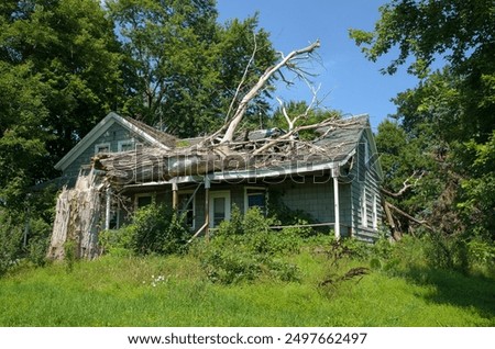 abandoned house with tree crashed through roof