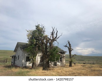 Abandoned House In Walla Walla/WA Backroad 