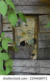 Abandoned House Window Covered With Vines.