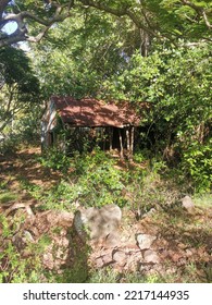 Abandoned House In The Woods