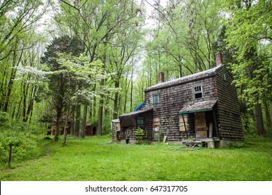 A House in the Woods