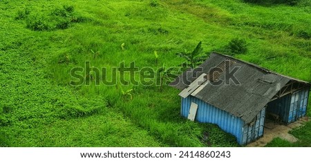 Abandoned hovel in a empty green field
