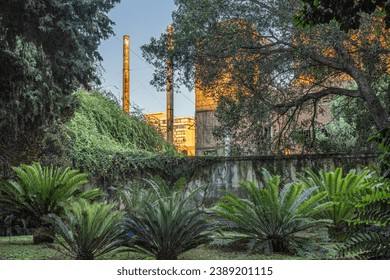 abandoned industrial site surrounded by vegetation, urban exporation