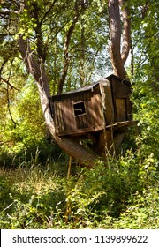 Abandoned Kid Tree House. The Stock Photo.