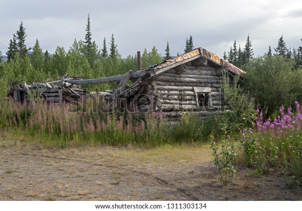 Abandoned Log Cabin Silver City Ghost Stock Photo Edit Now