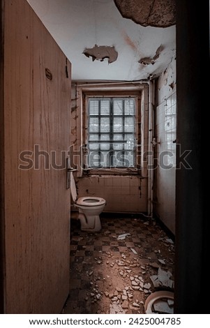 Similar – Morbid mood. A toilet bowl stands in a dilapidated house. Wallpaper and paint come off the wall and through an open window you can see a shrub