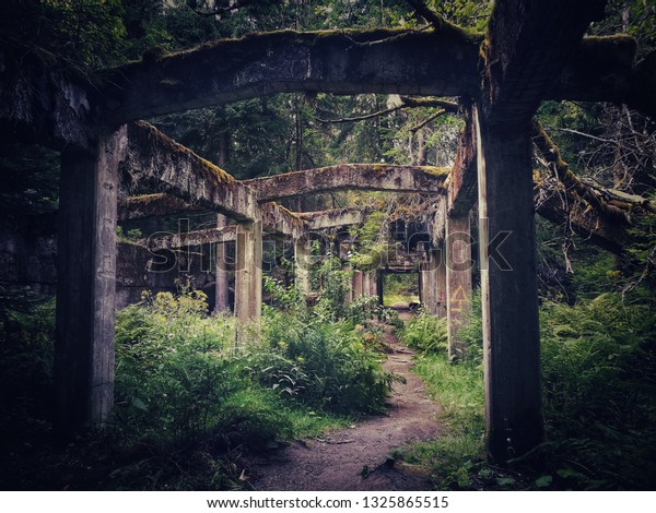 Abandoned Mine Taken Over By Forest Stock Photo 1325865515 | Shutterstock