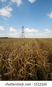 Abandoned Oil Well In Barley Field