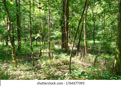 Abandoned Oil Well In The Middle Of The Woods Without Pump Jack