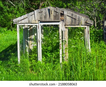 Abandoned Old Barn Or Greenhouse On Overgrown Empty Plot, Summertime Shot