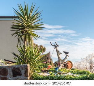 An Abandoned Old Exercise Bike And Palm Trees In A Messy Suburban Garden In Australia