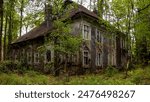abandoned old house in the forest