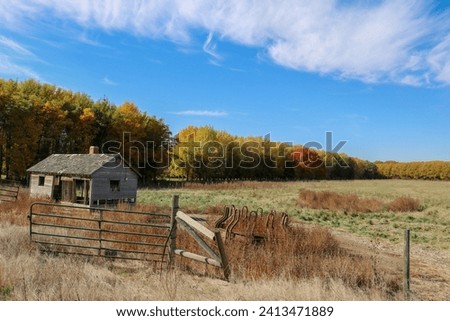 An abandoned outbuilding on the Front Range of Colorado.  Weathered wooden boards, broken windows, dilapidated shingles and a crumbling brick chimney with a blue sky and meadow with autumn colors.