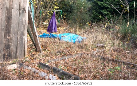 Abandoned Overgrown Allotment Garden Image