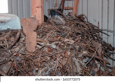 Abandoned Pack Rat Nest In Rural Garden Shed