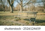 Abandoned park bench surrounded by trees and grass, evoking tranquility in an autumn or winter setting,An empty park bench in a tranquil setting,A solitary park bench amidst trees and grass.