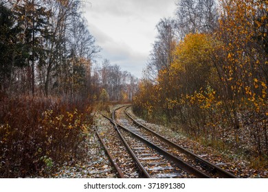 Abandoned railroad in autumn forest