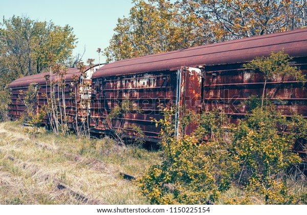 Abandoned railroad cars used for cargo\
transportation standing on old railroad tracks with vegetation grow\
around them