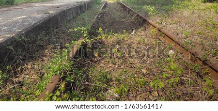 abandoned railway with brambles growing over the railroad tracks