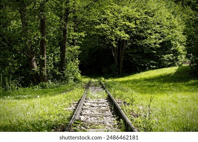 An abandoned railway tracks leading into the forest - Powered by Shutterstock