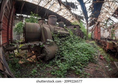 The Abandoned Red Star Train Graveyard In Budapest, Hungary