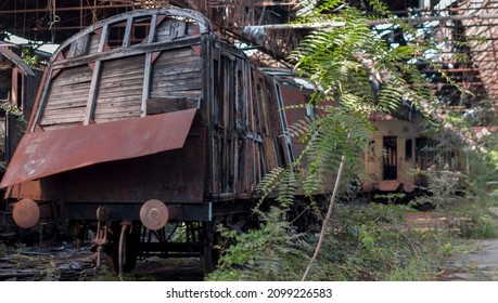 The Abandoned Red Star Train Graveyard In Budapest, Hungary