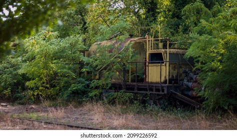 The Abandoned Red Star Train Graveyard In Budapest, Hungary