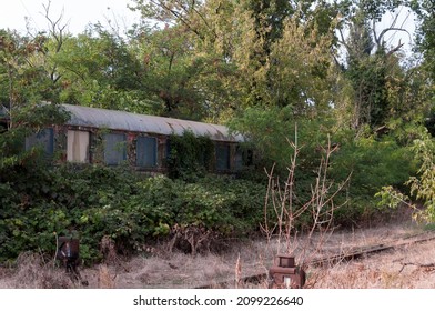 The Abandoned Red Star Train Graveyard In Budapest, Hungary