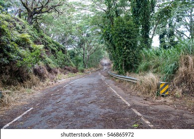 Abandoned Road, Covered In Leaves