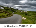 Abandoned Road Through Coastal Landscape With Sheep And Cottages At The Atlantic Coast Of The Isle Of Skye In Scotland, UK