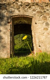 Abandoned Ruin Of Oven Chimney. Broken Furnace. Green Meadow Environment And Blue Sky Background