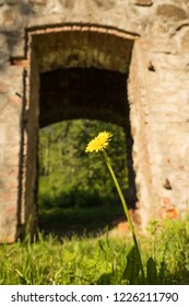 Abandoned Ruin Of Oven Chimney. Broken Furnace. Green Meadow Environment And Blue Sky Background