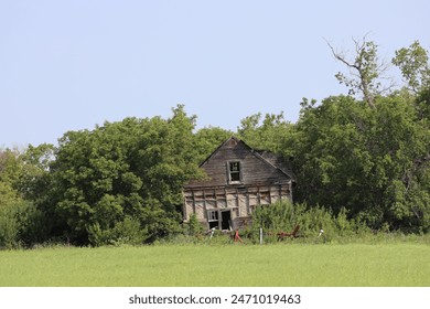 abandoned rural farmhouse gradually being engulfed in forest and grass - Powered by Shutterstock