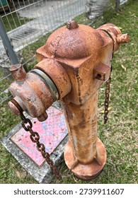 Abandoned Rusted Fire Hydrant with Chains