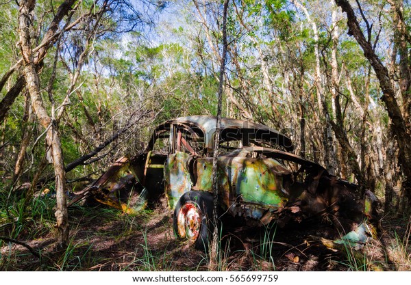 abandoned rusted Jaguar car in\
bush 