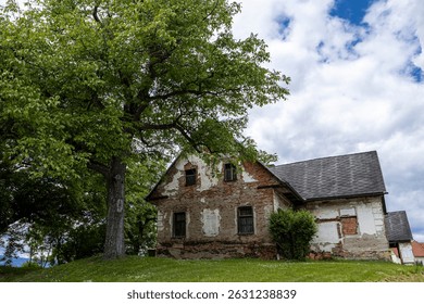 Abandoned Rustic House in Countryside. A dilapidated house surrounded by lush greenery and a large tree under a cloudy sky. - Powered by Shutterstock - Get 15% off with code: PIKWIZARD15