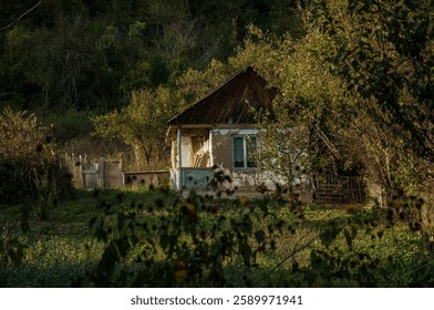 Abandoned rustic house in a lush green countryside, bathed in warm golden sunlight. Weathered walls and overgrown vegetation create a nostalgic, mysterious, and peaceful rural scene. - Powered by Shutterstock - Get 15% off with code: PIKWIZARD15