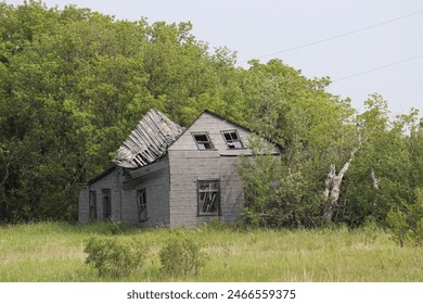 abandoned rustic rural farm house collapsing into itself as trees overgrow it