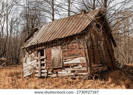 Abandoned rustic shack in the backwoods.