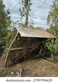 Abandoned Rustic Structure Overtaken by Nature