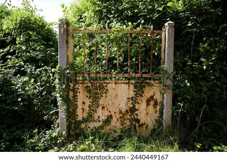 Abandoned and Rusty Gate with Vines and Peeling Paint