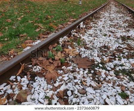 An abandoned, rusty railroad bed, overgrown with grass and strewn with fallen autumn leaves. Close-up of the rail clamp holding the rail to the sleeper.