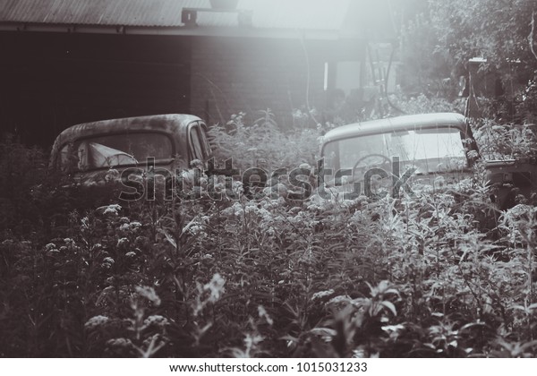 Abandoned rusty Soviet\
cars, overgrown with greens. Post-apocalyptic background. Vintage\
sepia effect.