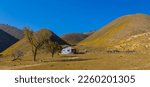 Abandoned shack at Carrizo Plain National Monument panoramic view in spring time with blue sky.
