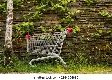 Abandoned Shopping Cart In The Park