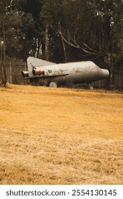 Abandoned space shuttle with forest background