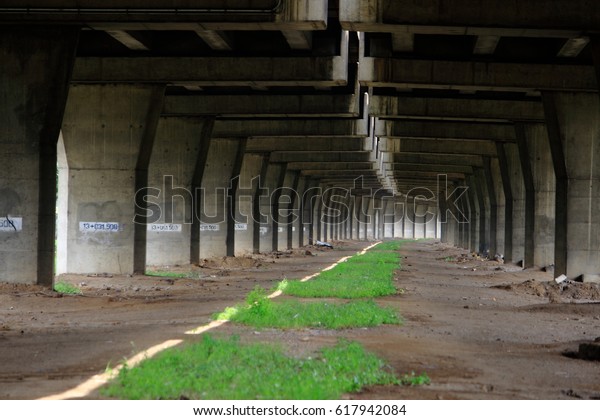 abandoned space under expressway\
infrastructure. Road bridge with natural landscape underneath.\
modern car based city\
construction